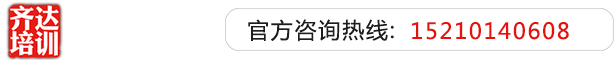 插逼爽视频齐达艺考文化课-艺术生文化课,艺术类文化课,艺考生文化课logo